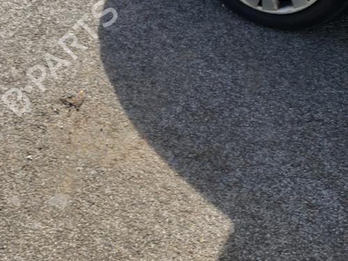 Left front door RENAULT MEGANE II Saloon (LM0/1_)  | BP22123425C2 