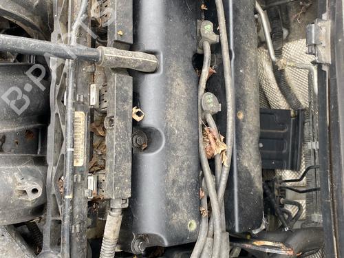 Cylinder head FORD FIESTA VI (CB1, CCN) 1.25 | BP36337308M5 - Image 2