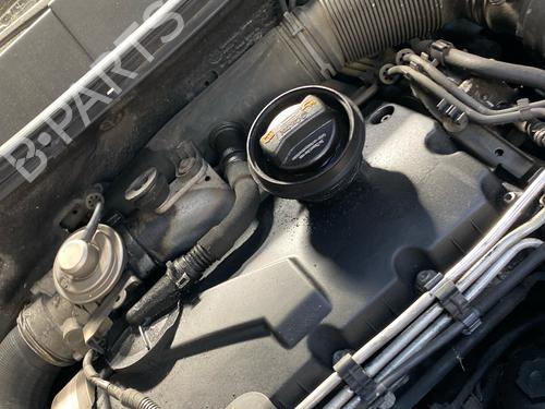 Cylinder head VW PASSAT B6 Variant (3C5) 1.9 TDI | BP38273686M5 - Image 4
