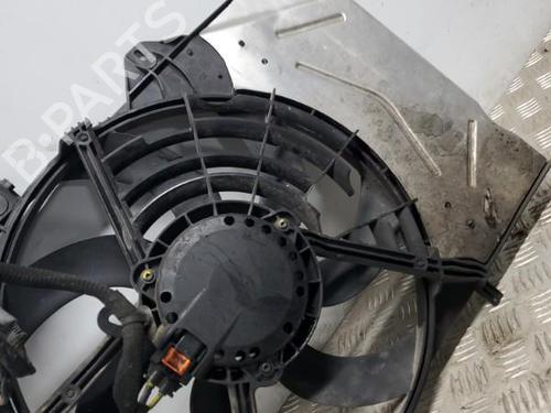 Radiator fan PEUGEOT 208 I (CA_, CC_) 1.6 HDi / BlueHDi 75 | BP22119208M35 