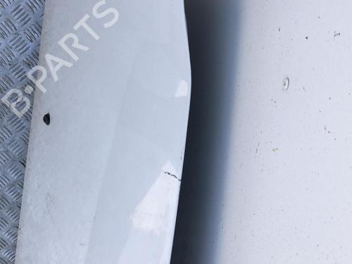Hood RENAULT CLIO III (BR0/1, CR0/1) 1.6 16V (BR05, BR0B, BR0Y, BR15, BR1J, BR1M, BR1Y, CR0B,... | BP22111308C1 
