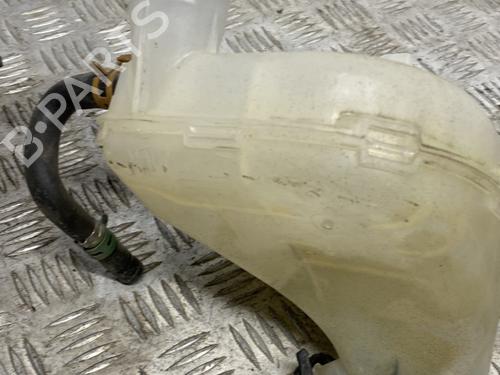 Expansion tank RENAULT TWINGO II (CN0_) 1.2 16V (CN04, CN0B) | BP24115888C120 