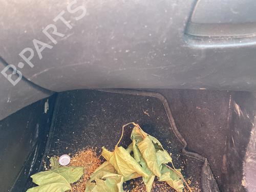 Used Glove box FIAT PUNTO EVO (199_) 1.3 D Multijet (199AXC1A, 199BXC1A, 199AXT1A, 199BXT1A) (75 hp) 27982005