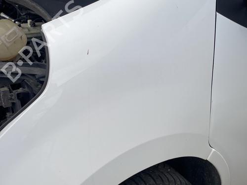 Left front fenders RENAULT MASTER III Van (FV) 2.3 dCi 145 FWD (FV0E, FV0F, FV0H, FV02, FV0M, FV0S,... | BP29464912C41 