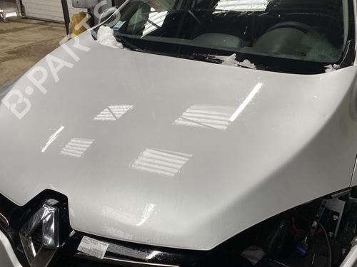 BP31334371C1 main image