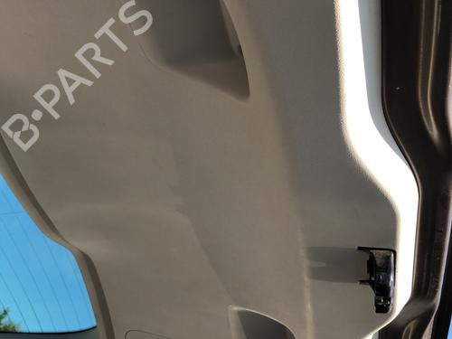 Used Boot lining RENAULT SCÉNIC III (JZ0/1_) 1.6 dCi (JZ00, JZ12) (130 hp) 20660271