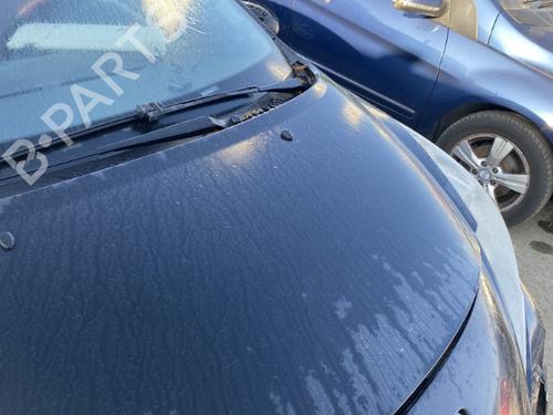 Hood PEUGEOT 207 CC (WD_) 1.6 16V | BP22126082C1