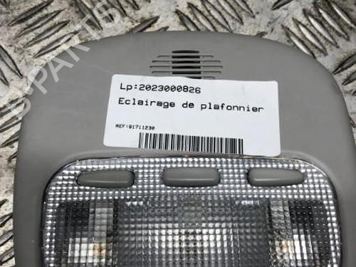 Interior roof light PEUGEOT 407 (6D_) 2.0 HDi 135 (6DRHRH, 6DRHRE, 6DRHRG, 6DRHRJ) | BP22116841I8 