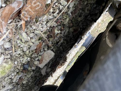 Steering rack RENAULT CLIO II (BB_, CB_) 1.5 dCi (B/CB07) | BP31655135M22