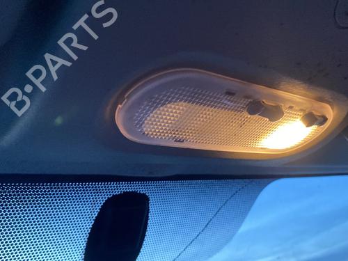Interior roof light RENAULT KANGOO Express (FW0/1_) 1.5 dCi 95 (FW16) | BP29959023I8