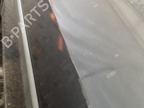 Porta frente esquerda RENAULT MEGANE II (BM0/1_, CM0/1_) 1.6 16V (BM0C, CM0C) | BP29115561C2 