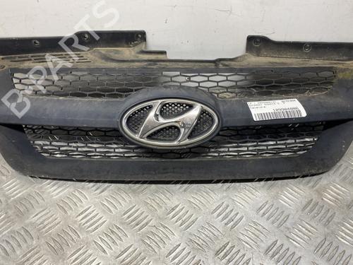 Used Grille HYUNDAI SONATA V (NF) 2.0 CRDi (140 hp) 27684586