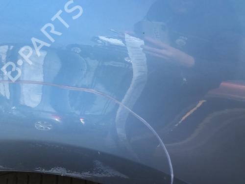 Forkjerm venstre CITROËN C4 Picasso I MPV (UD_) 1.6 HDi | BP22127424C41 