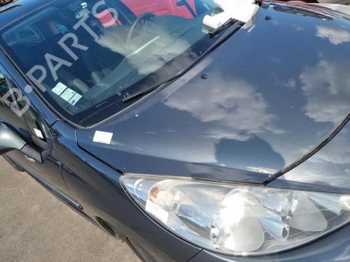 Used Hood PEUGEOT 207 SW (WK_) 1.6 HDi (92 hp) 19911860