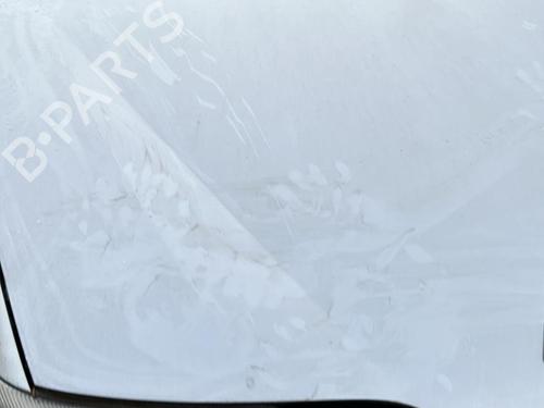 Hood RENAULT LAGUNA II Grandtour (KG0/1_) 2.2 dCi (KG0F) | BP19913676C1 