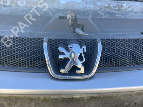 Grille PEUGEOT 406 (8B) 2.0 16V | BP24888944C40 