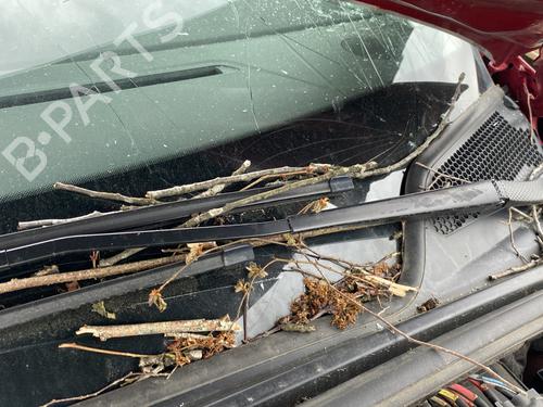 Scuttle panel CITROËN C4 II (NC_) 1.6 HDi 115 | BP25484060C110 - Image 3