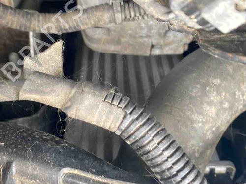 Intercooler RENAULT KANGOO Express (FW0/1_) | BP36427775M30 - Image 2