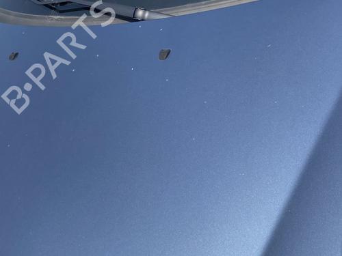Used Hood Hood FIAT BRAVO II (198_) 1.6 D Multijet (198AXL1B) (120 hp) 26557477 26557477