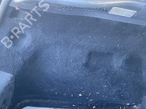 Rear left panel RENAULT CLIO IV (BH_) 1.5 dCi 90 | BP29571743C60 