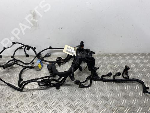 Used Wiring harness Wiring harness CITROËN C4 Picasso II 1.6 HDi / BlueHDi 115 (115 hp) 30085543 30085543
