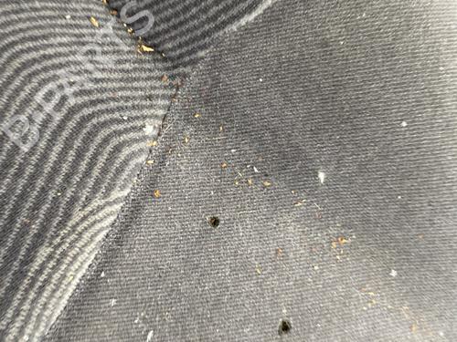 Right front seat RENAULT CLIO II Hatchback Van (SB0/1/2_) 1.9 D (SB0R) | BP30460434C16 - Image 3