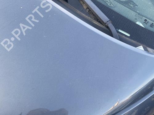 Hood RENAULT GRAND SCÉNIC II (JM0/1_) 2.0 dCi (JM1K) | BP30183641C1 