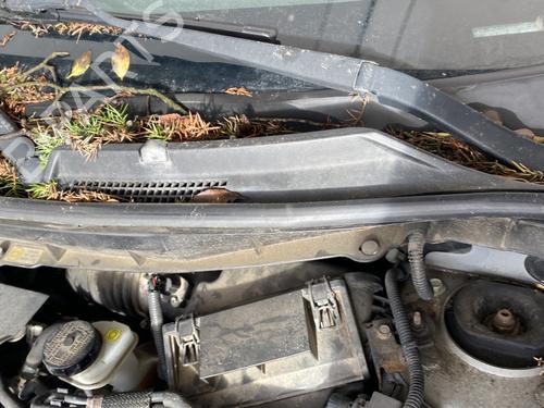 Front wiper motor RENAULT KOLEOS I (HY_) 2.0 dCi 4x4 (HY0K) | BP31969643M29