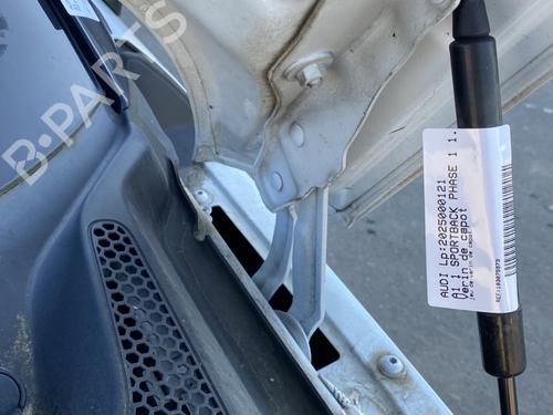Hinge/Door check strap AUDI A1 Sportback (8XA, 8XF) 1.6 TDI | BP24400365C146 