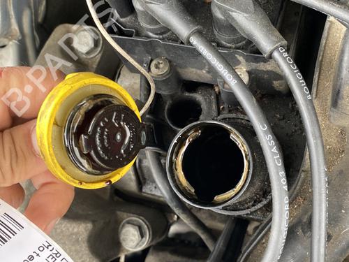 Engine RENAULT CLIO II (BB_, CB_) 1.2 (BB0A, BB0F, BB10, BB1K, BB28, BB2D, BB2H, CB0A,... | BP29406959M1 