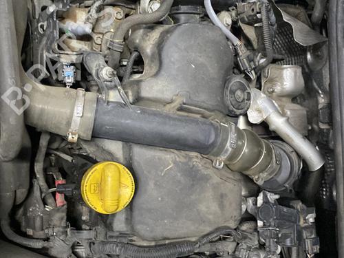 Engine RENAULT MEGANE III Hatchback (BZ0/1_, B3_) 1.5 dCi (BZ09, BZ0D, BZ1W, BZ29, BZ14) | BP31334418M1 - Image 7