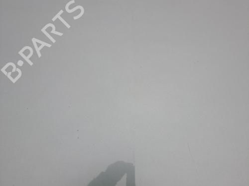 Hood RENAULT MEGANE II (BM0/1_, CM0/1_) 1.5 dCi (BM02, BM13, BM2A, CM02, CM13) | BP21260202C1 