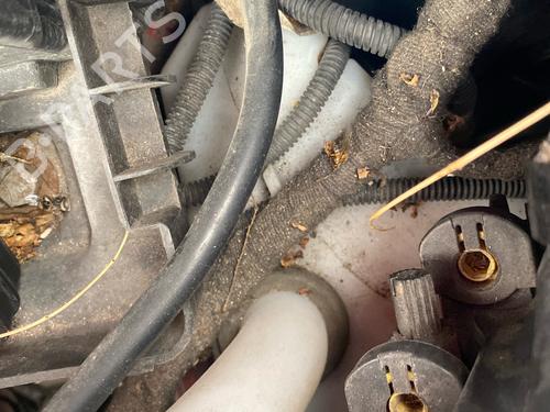Used Windscreen washer tank Windscreen washer tank 37868930 37868930
