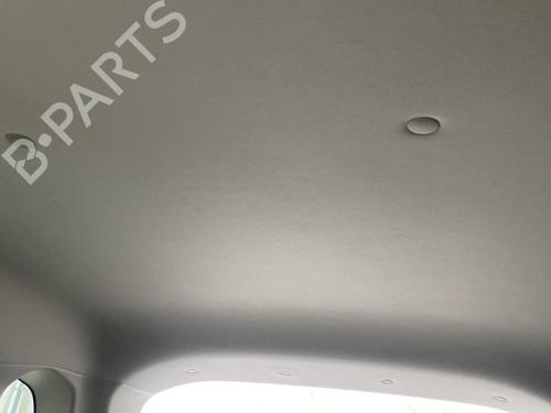 Cielo abitacolo RENAULT KOLEOS I (HY_) 2.0 dCi 4x4 (HY0K) (150 hp) 31977678