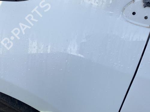 Błotnik przedni lewy RENAULT MEGANE III Hatchback (BZ0/1_, B3_) 1.5 dCi (BZ09, BZ0D, BZ1W, BZ29, BZ14) | BP29893503C41