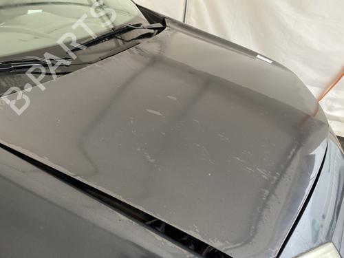 Panser RENAULT MEGANE II (BM0/1_, CM0/1_) 1.6 16V (BM0C, CM0C) | BP29115550C1