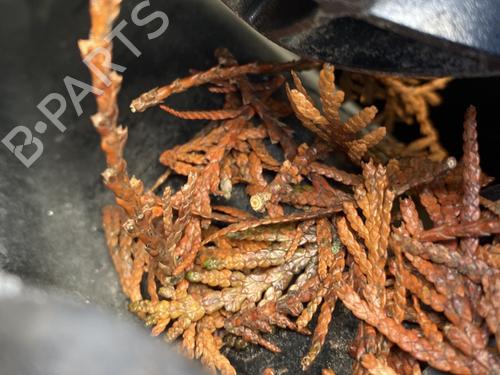 BP32021295C109 main image