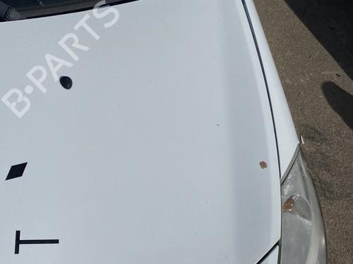 Hood RENAULT CLIO III (BR0/1, CR0/1) 1.5 dCi (C/BR0G, C/BR1G) | BP29422465C1 