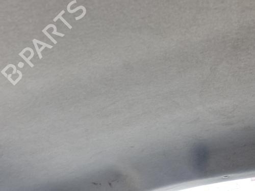 Used Interior roof PEUGEOT 207 (WA_, WC_) 1.6 HDi (90 hp) 29599691