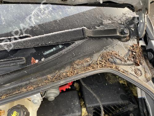 Scuttle panel RENAULT ESPACE IV (JK0/1_) 2.0 dCi (JK01, JK02, JK1J, JK1K, JK1H) | BP30646534C110