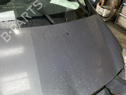 Hood RENAULT CLIO III (BR0/1, CR0/1) 1.5 dCi (BR17, CR17) | BP23845683C1 