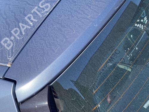 Bagklap CC/Kombi-Coupé RENAULT SCÉNIC II (JM0/1_) 2.0 dCi (JM1K) | BP29012973C6 