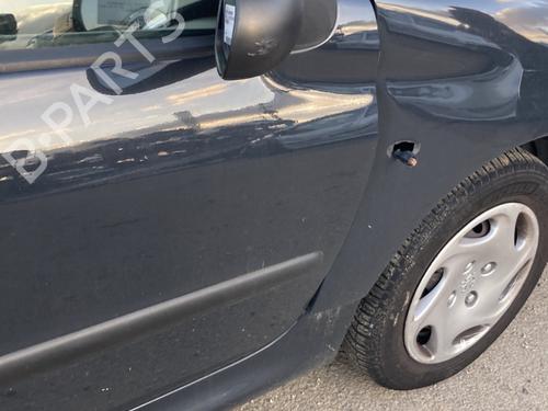 Right front door PEUGEOT 206+ (2L_, 2M_) 1.1 | BP21825885C3