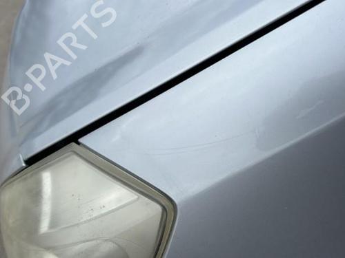 Left front fenders RENAULT CLIO III (BR0/1, CR0/1) 1.5 dCi (BR17, CR17) | BP22119239C41