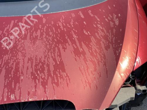 Hood SEAT ALTEA (5P1) 2.0 TDI 16V | BP25124628C1 