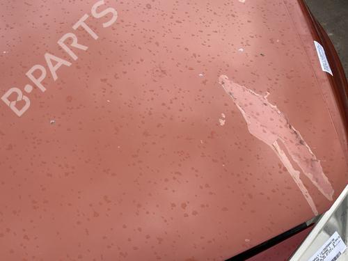 Hood RENAULT MEGANE II (BM0/1_, CM0/1_) 1.6 16V (BM0C, CM0C) | BP25270916C1 