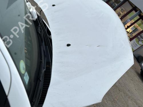 Hood CITROËN C3 II (SC_) 1.4 HDi 70 (SC8HZC, SC8HR0, SC8HP4) | BP22114774C1 