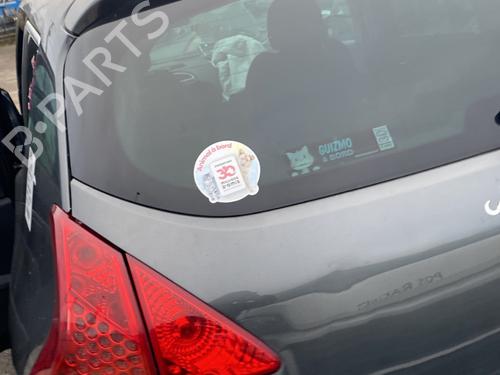Tailgate PEUGEOT 3008 I MPV (0U_) 1.6 HDi | BP22200277C6 
