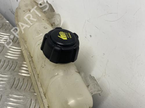 Used Expansion tank RENAULT ZOE (BFM_) ZOE (92 hp) 29829267