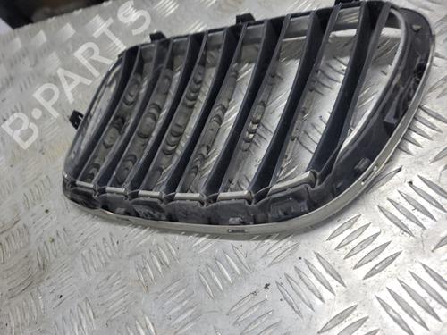 Grille BMW X1 (E84) xDrive 20 d | BP21063036C40 